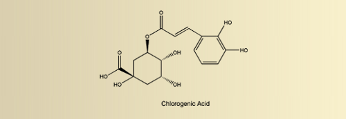 Struttura chimica dell'acido clorogenico